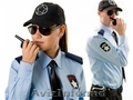 Curs Agent de Securitate